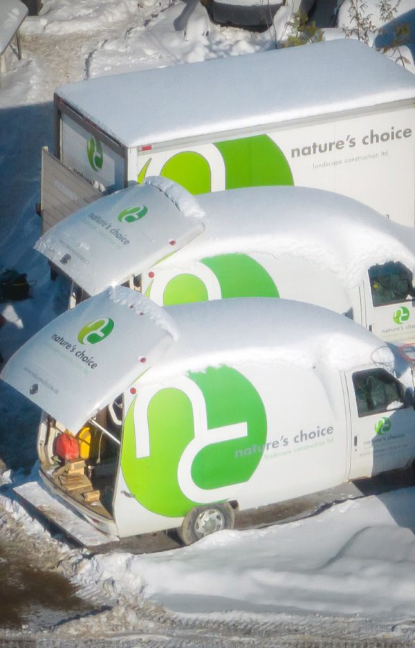 Nature’s Choice Landscape Construction Ltd photo 6