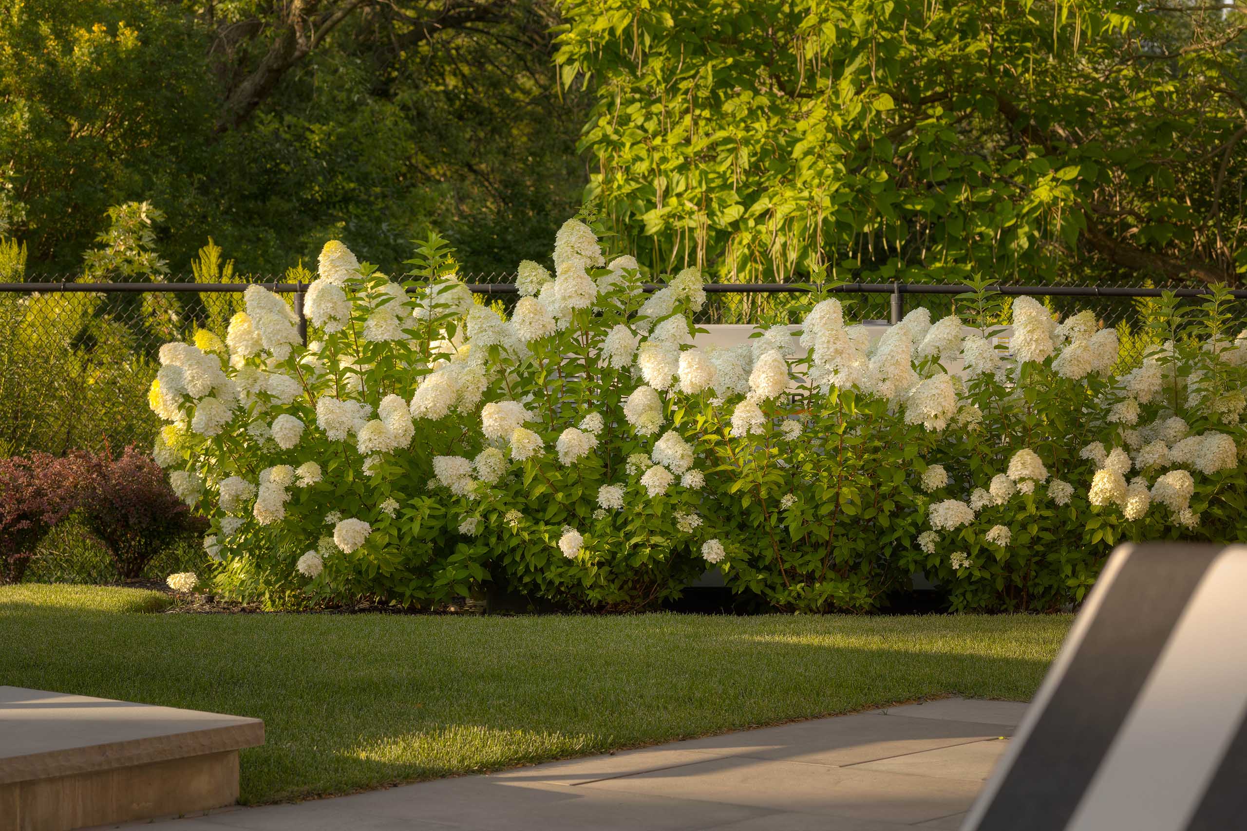 Residential Planting